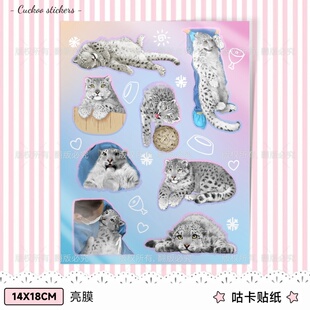 雪豹02 14x18cm自定义PET咕卡贴纸亮膜款