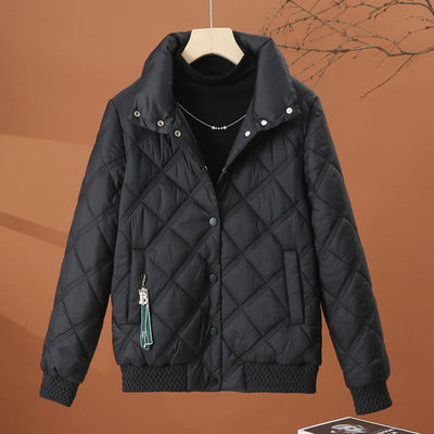 缪真短款韩版立领羽绒棉服女