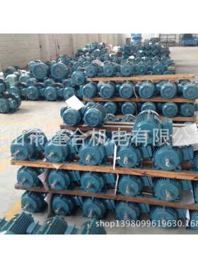 江门市电机厂电机JS100L2-4-3W旧JYP2-100L2-4-3W现货