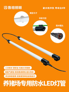 鲁格猪场专用Led灯防水耐腐蚀猪圈畜牧养殖诱灯三防灯