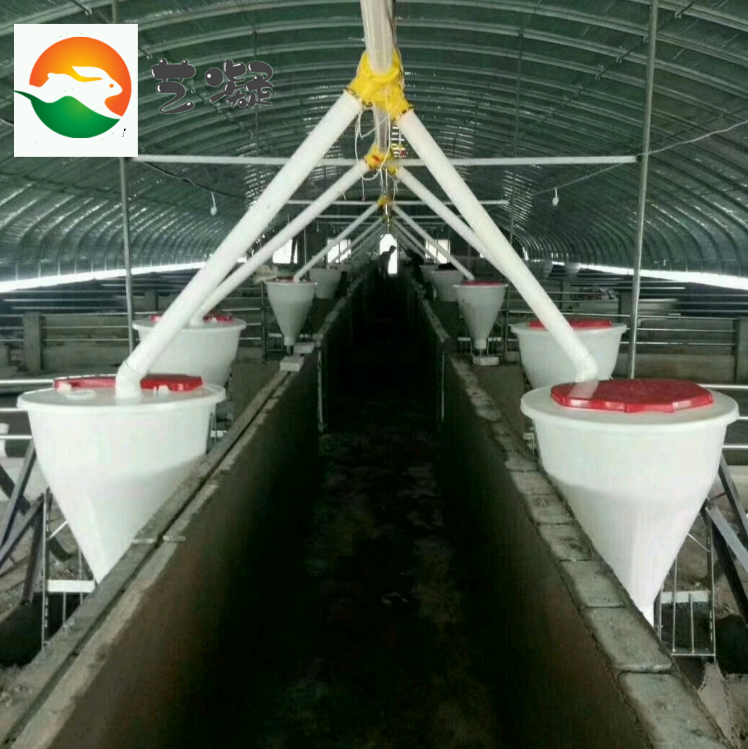 厂家供应喂猪料线养猪料线塞盘料线设备养猪自动喂料系统母猪喂料