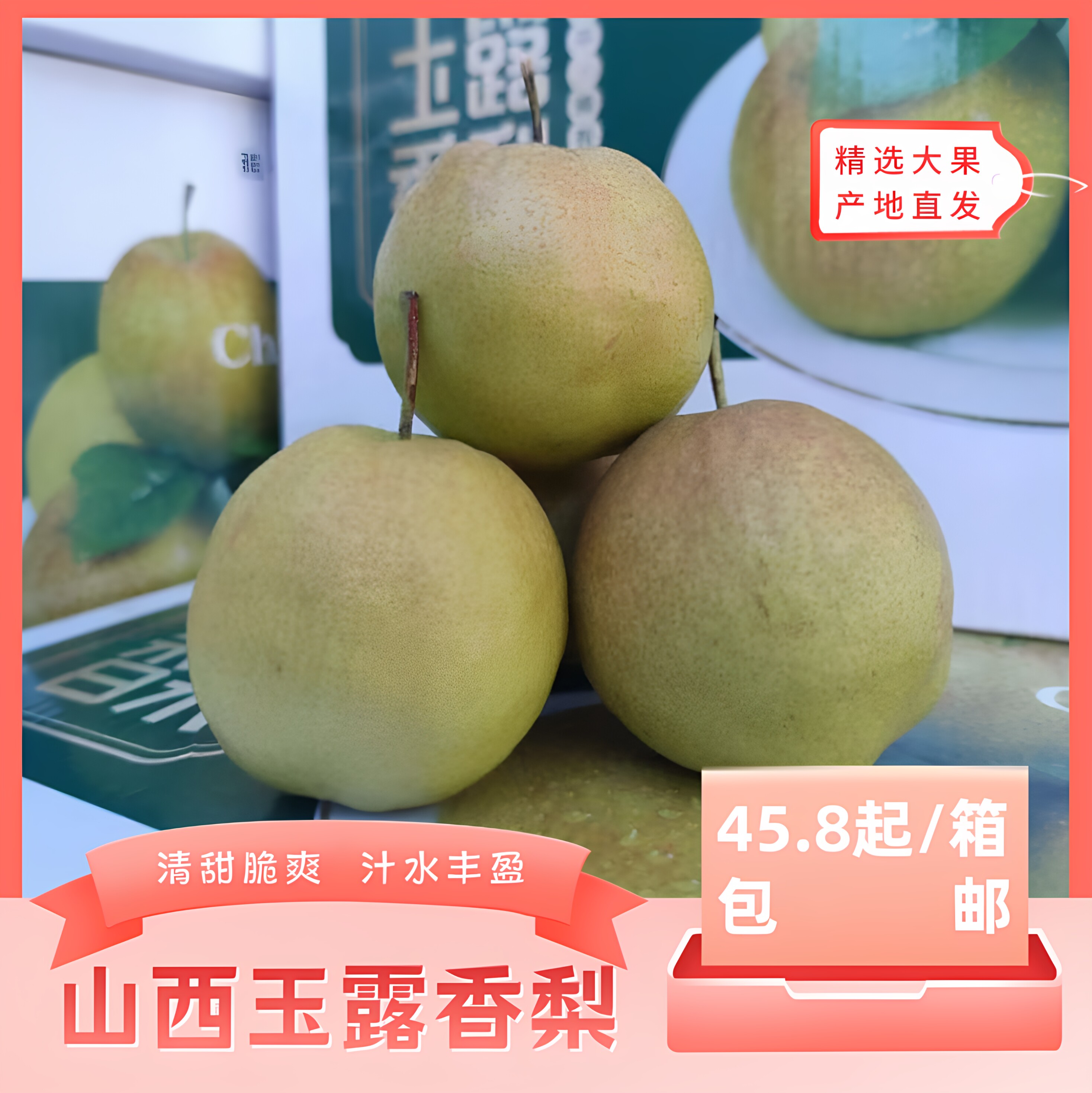 清甜脆爽汁水丰盈产地直发包邮