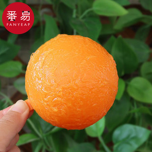 粘虫球 诱蝇球柑橘诱粘剂果蝇诱捕器大实蝇粘虫球园 诱蝇A1pq301