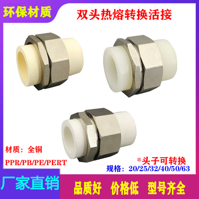 SZHPPR/PB/PERT双头转换铜活接