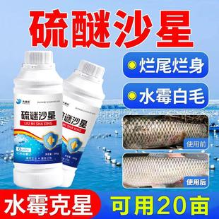 硫醚沙星水产养殖水霉专治高浓度强效鱼药烂身烂尾白毛病清水霉净