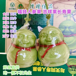 福娃人参果新鲜水果人形果人身果长寿果贡果甜瓜节日礼品罕见水果