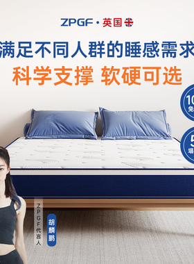 蓝色记忆棉盒子乳胶床垫席梦思压缩家用卧室独立弹簧加厚软垫名牌