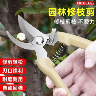 果树剪刀修枝神器摘果剪树剪花卉枝剪刀绿化嫁接园林园艺家用修剪