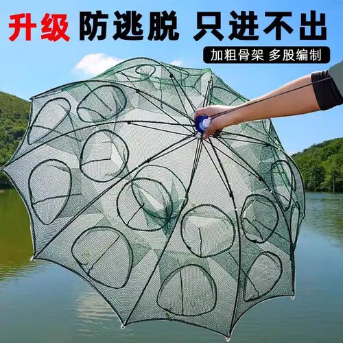 折叠8孔自动进鱼虾笼潮流
