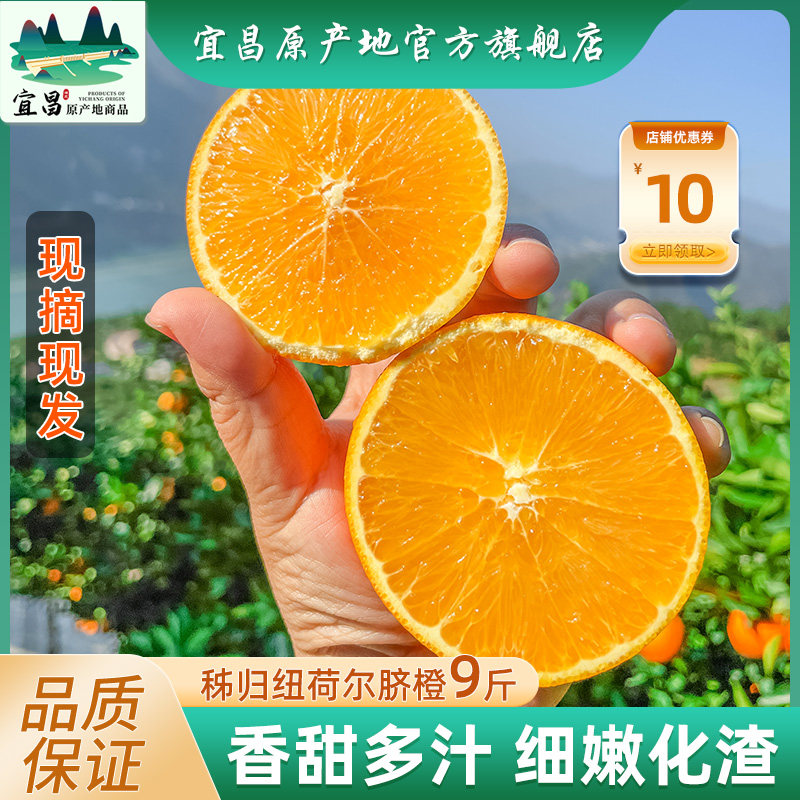 橙子新鲜纽荷尔脐橙9斤大果应季水果当季整箱秭归脐橙酸甜多汁10