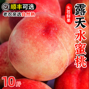 新鲜露天水蜜桃10斤桃子当季现摘水果冬桃软毛桃子脆甜水密桃包邮