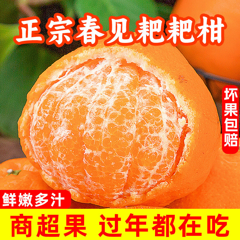 正宗春见耙耙柑8斤新鲜水果整箱当季粑粑柑杷杷柑丑桔子橘斤甜10,水产肉类/新鲜蔬果/熟食,桔子,淘宝优惠券,粉丝福利购,淘宝优惠卷