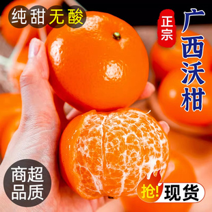 广西沃柑9斤新鲜水果当季整箱现摘沙糖蜜橘砂柑橘橘子武鸣桔子10