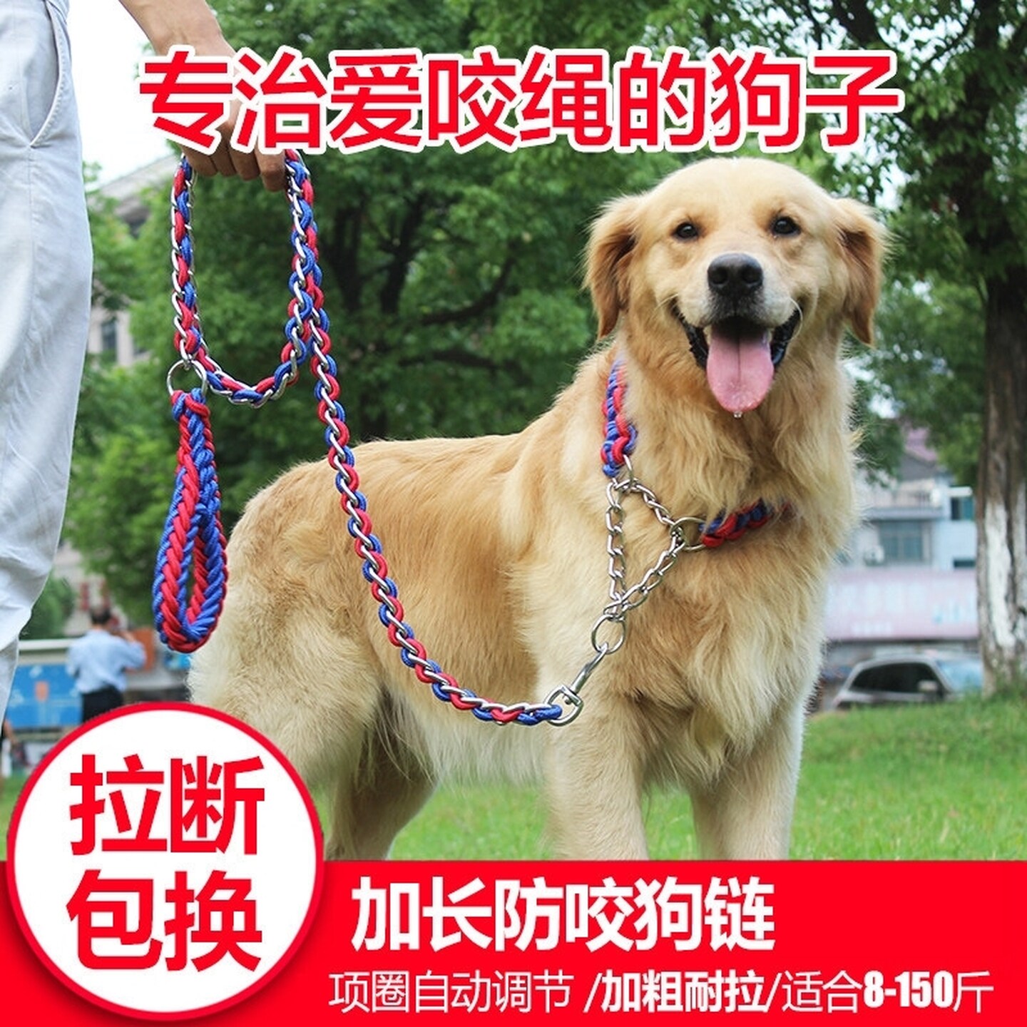 宠物项圈狗链加粗遛狗绳子狗狗P绳大狗牵引绳子小型犬大型犬金毛