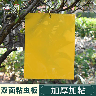 粘虫板A1pq801 大棚用果园花卉园诱虫板双面黄板沾小飞虫果蝇蓟