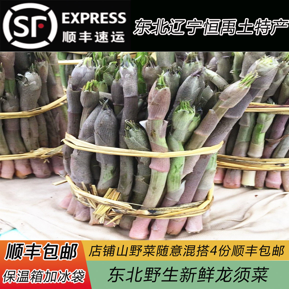 东北辽宁特产新鲜山野菜龙须菜苦嫩芽蘸酱菜野生山菜四份顺丰包邮