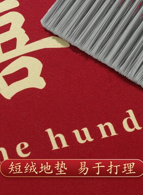 结婚地垫喜庆入户门门脚地毯卧室床边红色喜0口垫2字V24新款婚房