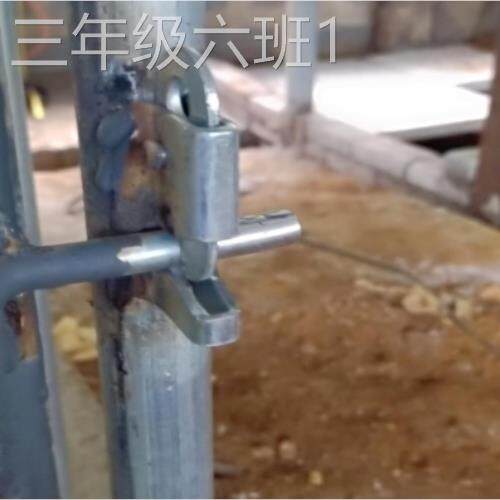 通用型家用养备母猪产床配养碰猪设定栏水位固定夹殖管场锁门扣保