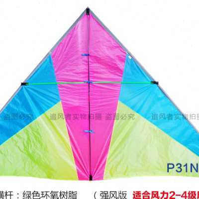 追风者风筝超轻p31N超微风伞布碳杆风筝抗大风高档成人套餐包邮