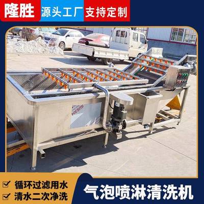 鸡腿菇鼓泡式清洗机 商用菌类气泡清洗设备 网带式清洗风干流水线