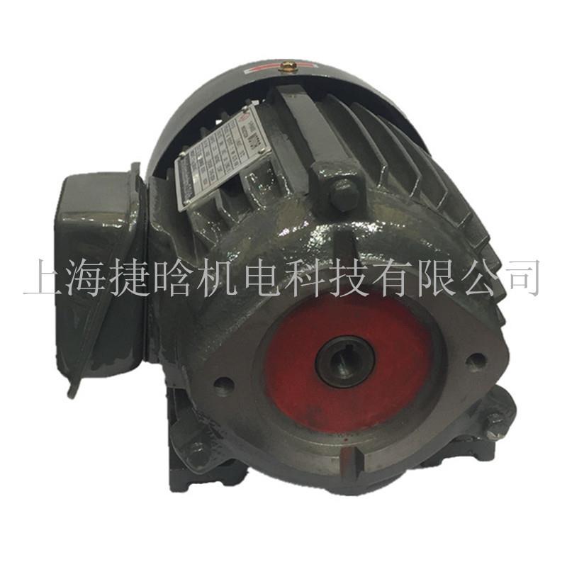 YTY-802-4内轴0.75W直插式油泵电机 3-PHASE INDUCTION