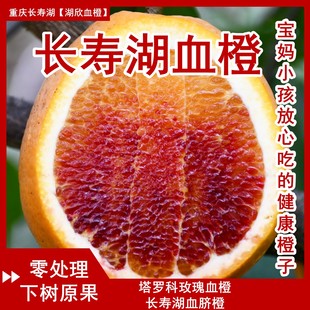 【塔罗科玫瑰血橙】重庆长寿湖现摘当季鲜甜水果春节礼盒