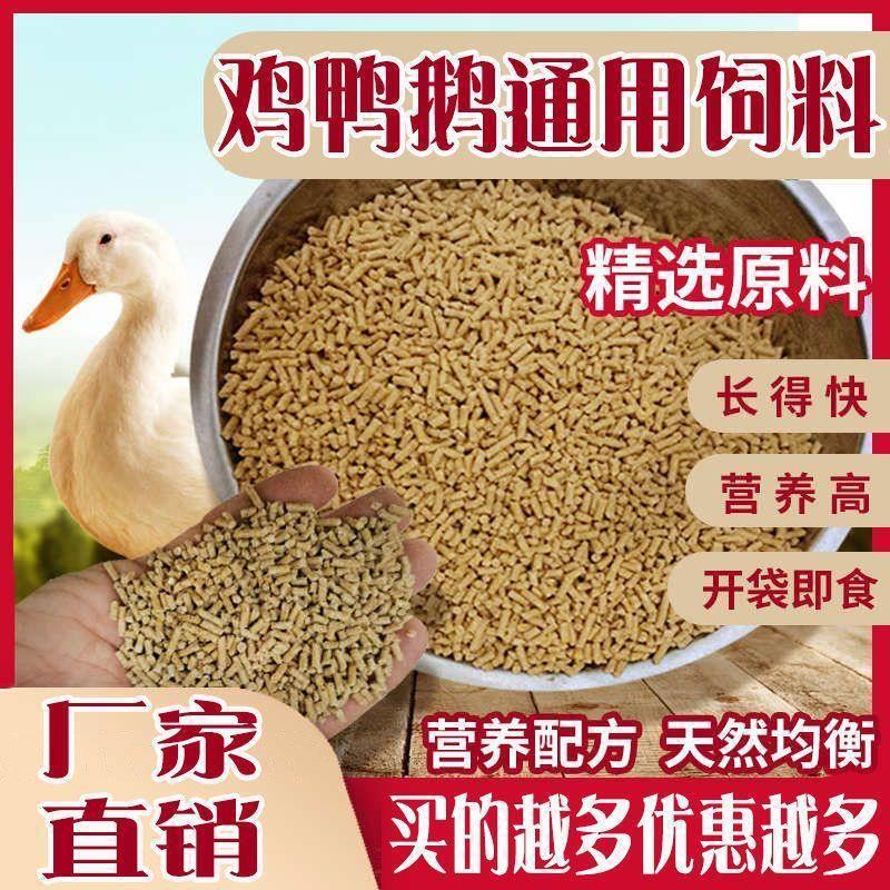 小鸡饲料颗粒中大鸭天鹅鸟鸽子山畜牧/养殖饲料