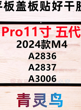 苹果适用2024款M4 ipad盖板外屏pro11寸 五代 A2836 A2837 A3006