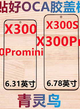 适用vivo X300 X300Pro X300S S50Promini  带OCA干胶盖板外屏