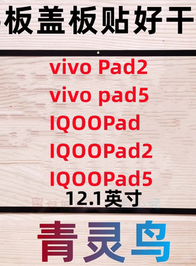 适用vivo IQOO Pad/Pad2/pad3/pad5  12.1寸 平板盖板外 PA2373