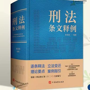 刑法条文释例