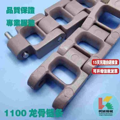 RPT1100龙骨链条25.4节距塑料链条POM清洗机输送链气浮机传送链板