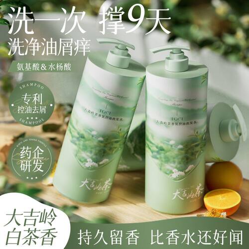 TOCI大吉岭白茶洗发水氨基酸控油蓬松除螨去屑止痒持久留香洗头膏