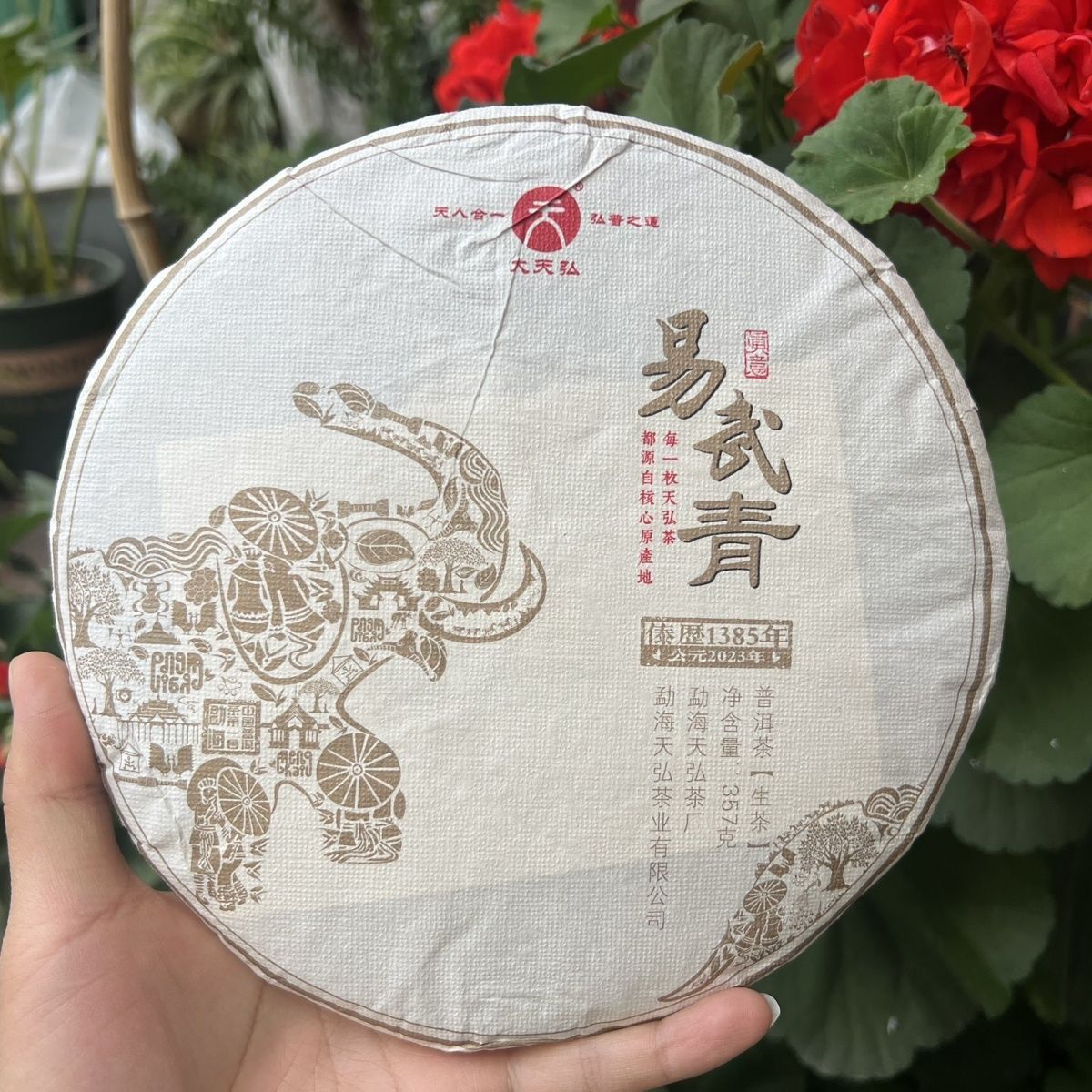 天弘茶厂2023年易武青饼普洱茶生茶357g饼干仓正品茶叶