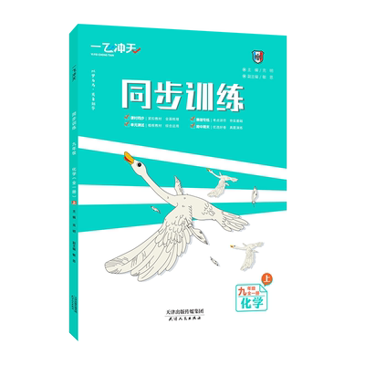 一飞冲天九年同步训练化学