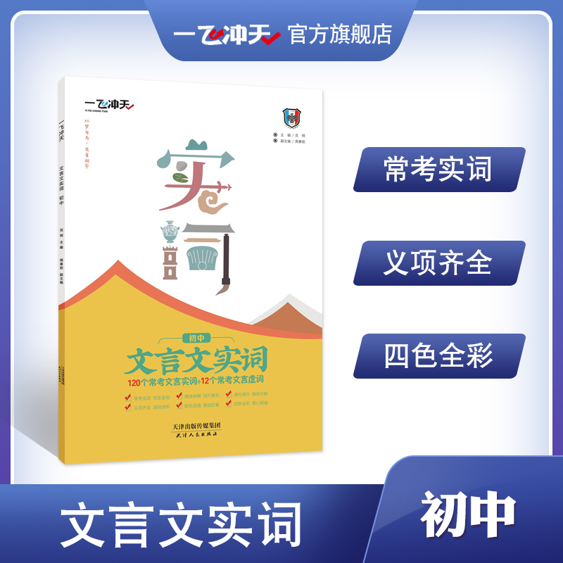 一飞冲天文言文实词虚词训练初中语文专项训练阅读理解初中文言文中考语文常考试题研究七八九年级初三全国通用 书籍/杂志/报纸 中学教辅 原图主图