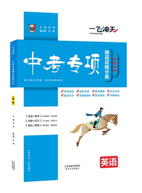 一飞冲天中考专项英语
