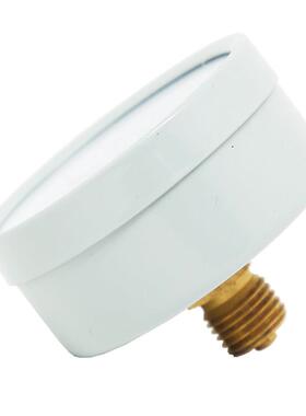 Y60Z轴向压力表空压机压力罐专用压力表1.6Mpa真空表水空气红旗仪