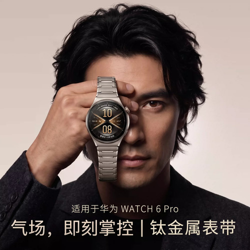匠戴适用华为Watch6Pro钛银表带
