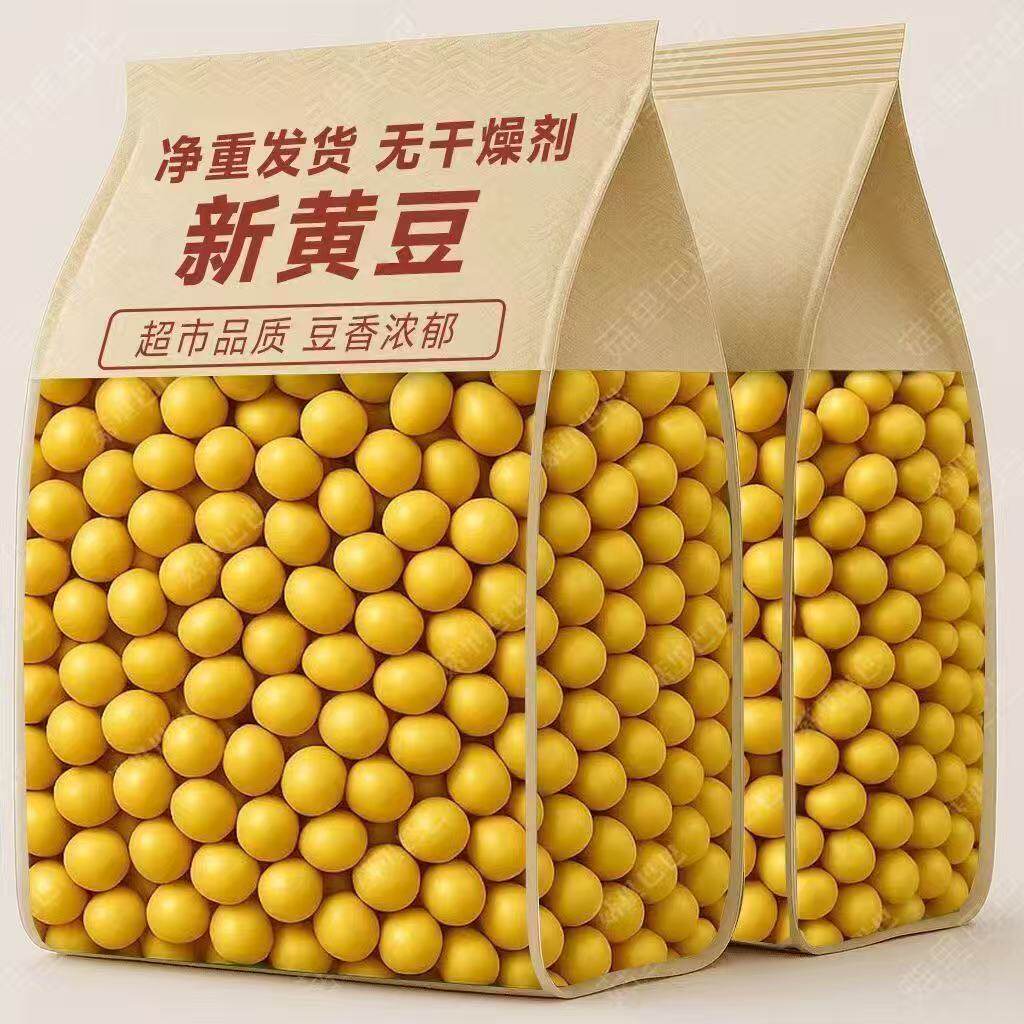 东北黑龙江黄豆农家自产大黄豆五谷杂粮豆类豆浆生豆芽黄豆250g