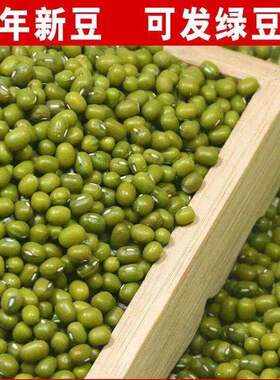 2025新货剥皮绿豆小绿豆250g-2500g农家自产发新鲜豆芽夏天绿豆汤