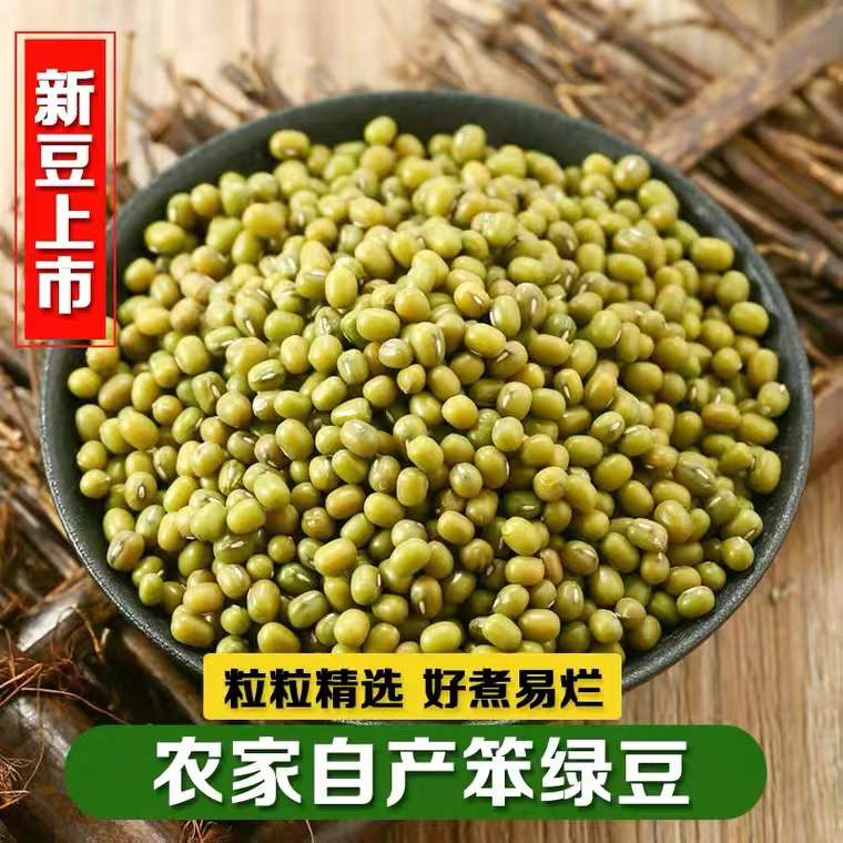 东北新绿豆100g-5斤颗粒饱满煲汤绿豆沙甜品发豆芽绿豆子容易出沙