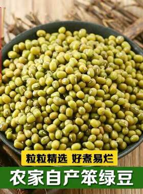 东北农家小绿豆100g-2500g新鲜材料绿豆糕饼绿豆汤粥消暑五谷杂粮