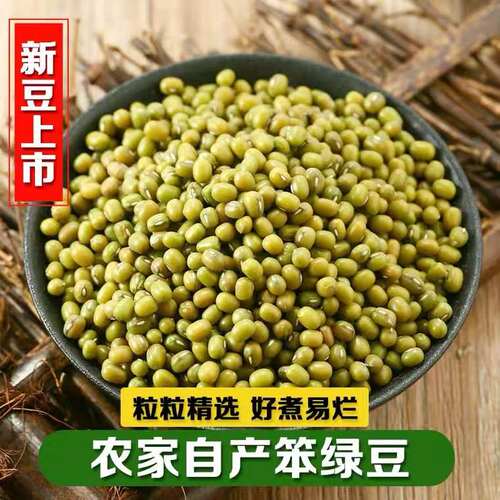 东北新绿豆100g-5斤颗粒饱满煲汤绿豆沙甜品发豆芽绿豆子容易出沙