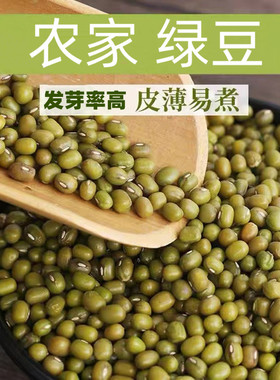 东北农家小绿豆50g-2500g新鲜材料绿豆糕饼绿豆汤粥消暑五谷杂粮