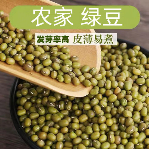 东北农家小绿豆50g-2500g新鲜材料绿豆糕饼绿豆汤粥消暑五谷杂粮