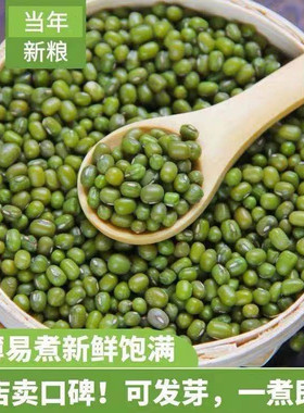 绿豆东北农家新绿豆子100g-2500g绿豆粥解暑绿豆汤笨绿豆发豆芽绿