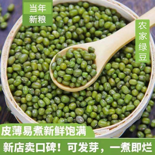 绿豆东北农家新绿豆子100g-2500g绿豆粥解暑绿豆汤笨绿豆发豆芽绿