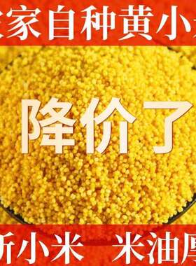 山西农家黄小米五谷杂粮小米粥生态黄小米250g粗粮月子米黄小米一