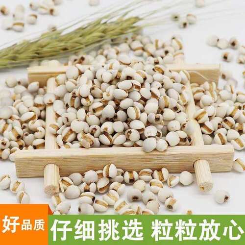 农家新鲜贵州薏米仁50克-2500克薏仁米 薏苡仁五谷杂粮粗粮